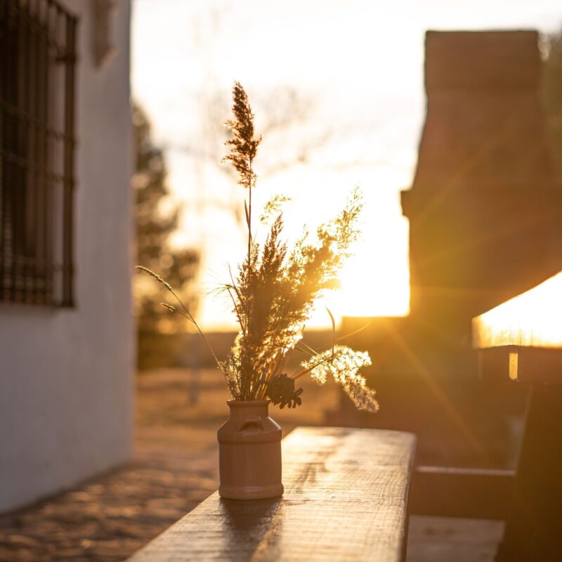 df587846-d554-48f9-a1cc-f85a9f123e89 df587846-d554-48f9-a1cc-f85a9f123e89